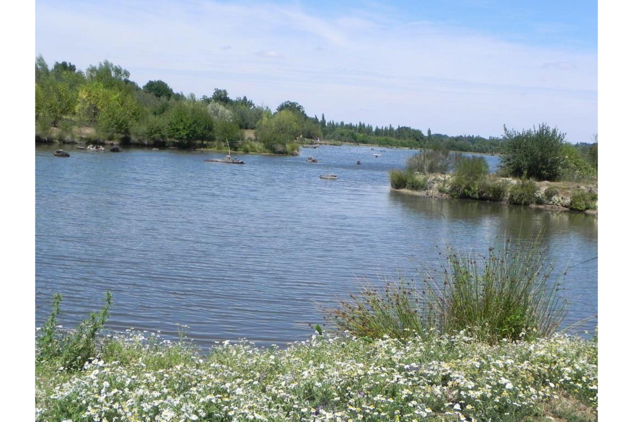 Terres De France - Natura Resort Pescalis Moncoutant Eksteriør billede