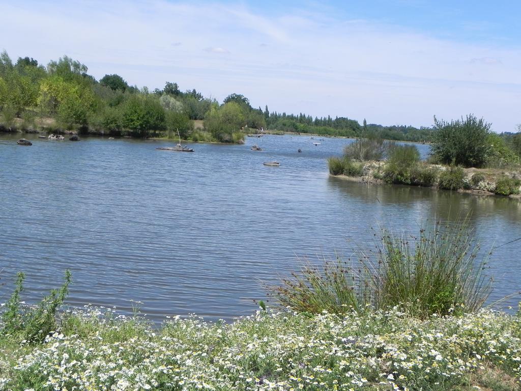 Terres De France - Natura Resort Pescalis Moncoutant Eksteriør billede